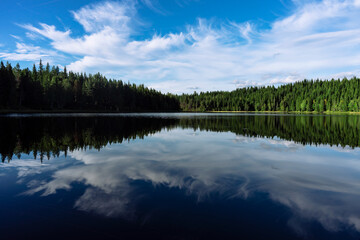 Obraz premium lake in the forest