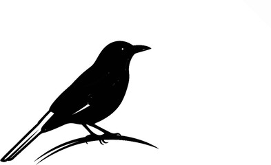 Obraz premium Silhouette of a small bird perched on a slender branch against a white background