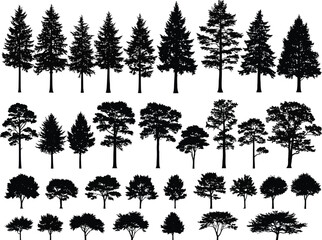Fototapeta premium a collection of various silhouette trees including evergreens deciduous trees and smaller shrubs shown in a repeating pattern high quality professional