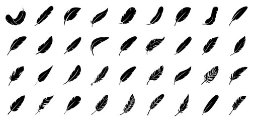 Bird Feather vector collection. Feather icons for logo or decoration. Symbol of comfort, softness and lightweight. © Саша Мельник