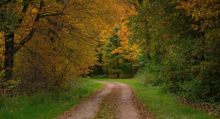 Obraz premium idyllic outdoor scene featuring a winding dirt lane through dense vibrant trees