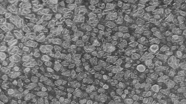 Abstract microscopic view of grey cells or bacteria structures moving in a fluid environment