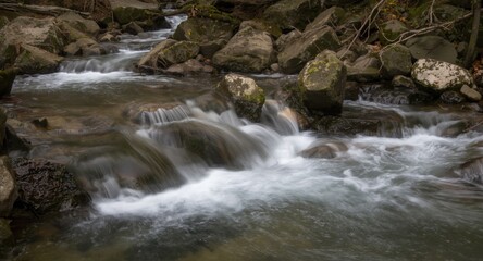 Fototapeta premium Nature long exposure shot of a flowing stream with soft water trails
