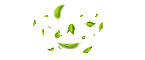 Fototapeta premium Green flying leaves banner. Leaf falling frame. Wave foliage ornament. Vegan, eco, organic product. Cosmetic pattern. Spring tree plant design. Fresh mint tea background. Air wind. Vector illustration