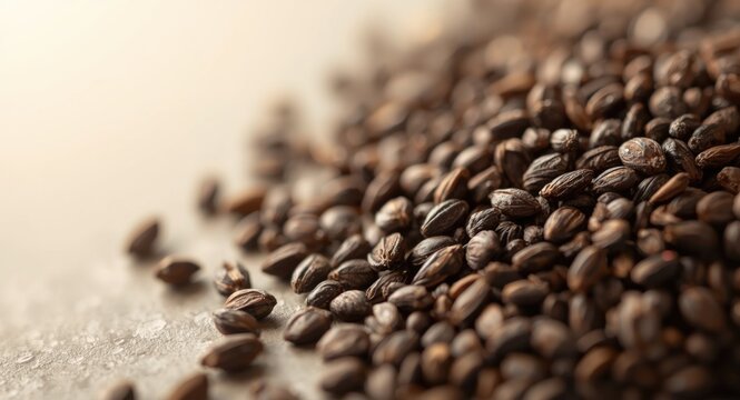 High magnification close up of black cumin seeds texture