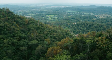 Obraz premium Scenic high elevation view of verdant canopy showcasing climate action