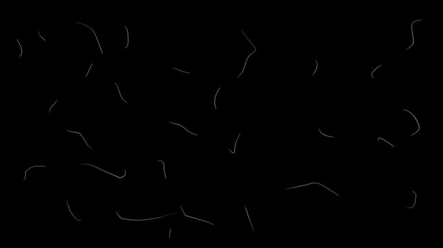 Authentic vintage film grain overlay featuring white dust particles, hair fibers, and subtle scratches on black background for creating an aged cinematic look, retro aesthetic, or adding organic textu