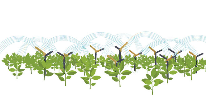 Numerous green leafy plants are being irrigated by multiple small sprinklers emitting blue water arcs on a white background.