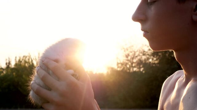 Young boy holding tiny scottish fold kitten in hands and kissing its head against bright golden sunset light with forest trees in background.