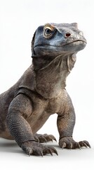 Fototapeta premium Realistic Komodo Dragon Portrait Illustration Isolated on White Background
