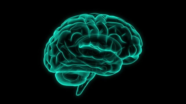 Animated background with x-ray brain rotation in a seamless loop.