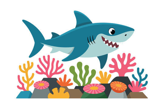 shark in the aquarium