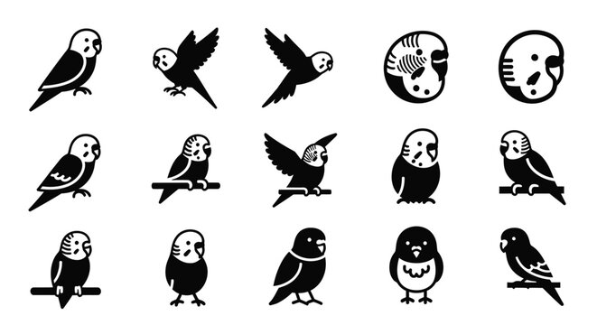 Set of various budgerigar icons, cute parakeet birds in different poses, black silhouette illustration