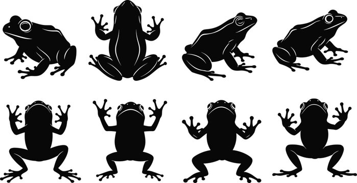 Black silhouette set of frogs in various poses including jumping, sitting, and top view isolated on white background vector design