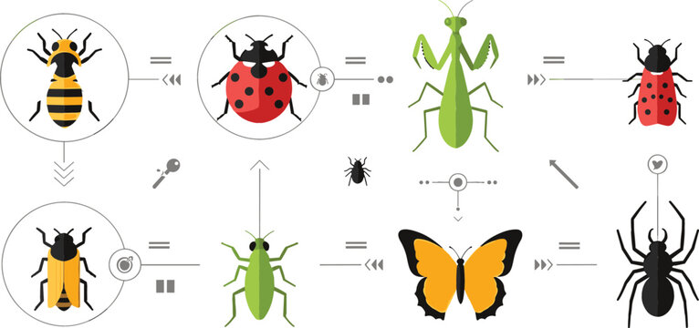 Insect transformation lifecycle vector illustration with bee, ladybug, mantis and butterfly stages, educational biology diagram for metamorphosis concept design