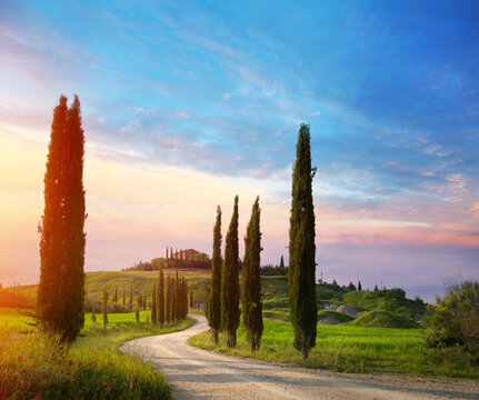 Tuscany countryside road with cypress trees at sunset &ndash; authentic Italian travel landscape