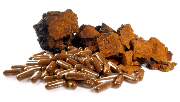 Food and Health - Chaga Mushroom with Capsules isolated on white Background - Healthy Nutrition