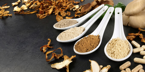 Food and Health - Medicinal Mushrooms - Healthy Nutrition © ExQuisine