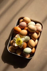 Fresh farm eggs in metal tray with daffodil in warm sunlight © Mallivan
