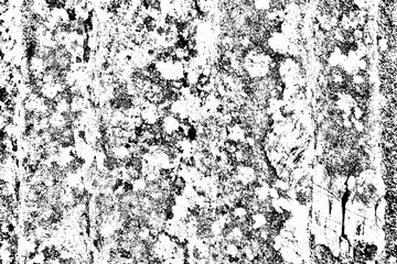 Obraz premium the abstract black and white texture of a moldy, weathered tree trunk