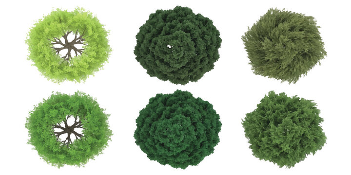 Set of top view trees for landscape design and architectural site planning vector illustration isolated on white background