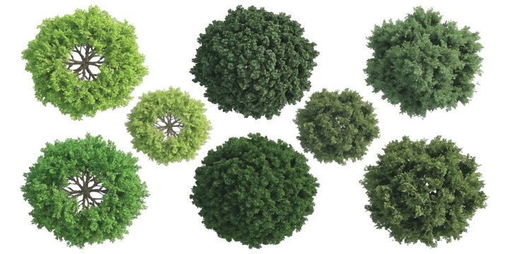 Set of various green trees top view isolated on white background for architectural landscape design vector illustration