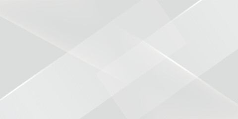 Fototapeta premium Abstract white and gray background. smooth abstract background, blurred pattern. Light pale vector background. Abstract pale geometric pattern eps 10