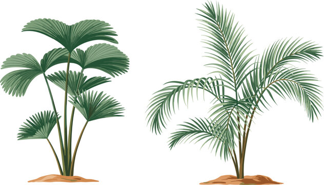 Top view of modern laptop on wooden desk with coffee cup, green plant, and notebook in bright, minimalist home office workspace.