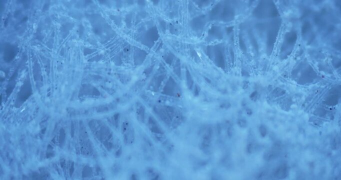 Microscopic View of Nonwoven Synthetic Fibers with Trapped Dust for HEPA Filtration System Performance Analysis and Respiratory Protection Engineering with 99.9 Percent Mechanical Efficiency Unit