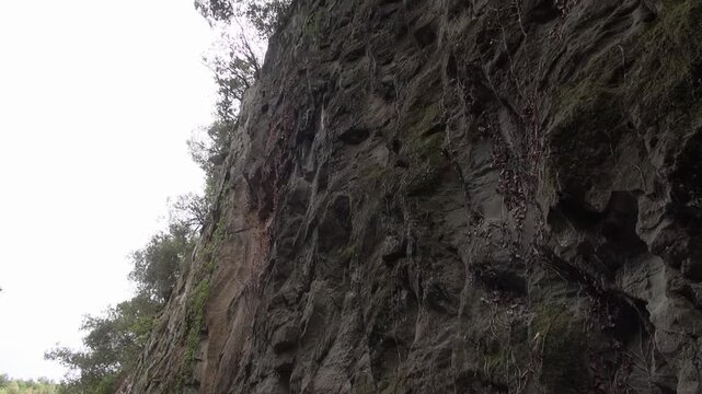 Path cliff rocks stone plants trees forest mountain sky countryside nature afternoon