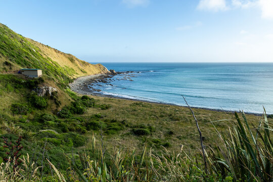 Ocean and land at Roaring bay in the Catlins Coast region of New Zealand
