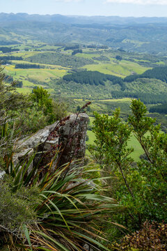 The Organ Pipes - volcanic polygonal columns