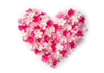 Obraz premium Heart shape made of pink and white flowers on white background