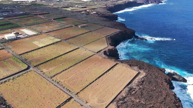 Pineapple Fields El Hierro Spain's Tropical Production Hub Canary Islands