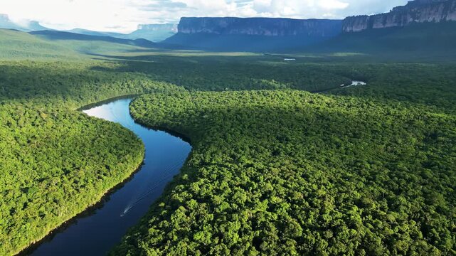 Aerial drone view of a winding river cutting through dense tropical rainforest with mountains in the background in Venezuela
