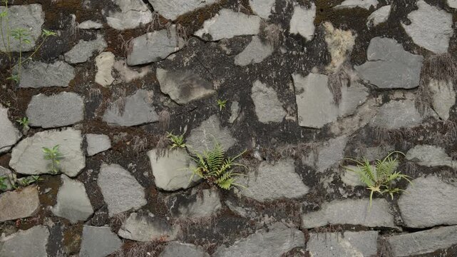 Rough stone surface texture with cracks and natural pattern, abstract background