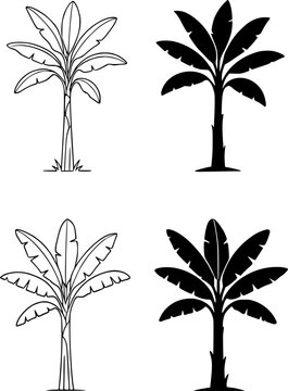 Banana tree illustration icon set, in outline and silhouette style, for plant or botanical design