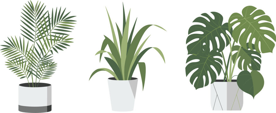 WebHouseplant illustration, indoor plants, palm leaves, spider plant, monstera foliage, decorative pots, botanical design, home decor, vector art, isolated
