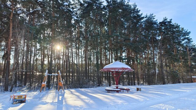Pedestrians trampled a path through the snowdrifts along the playground. There are birch and pine trees behind it, and the sun is shining through the branches. Frosty winter weather and blue sky