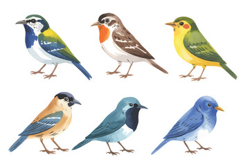 Fototapeta premium Diverse songbird collection for nature themes in gentle watercolor illustration.
