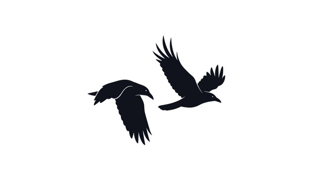 Striking illustration featuring two black crow silhouettes flying, conveying a sense of mystery, freedom, and nature on a white background.