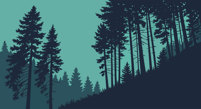 Serene evergreen forest landscape illustration with tall pine trees silhouetted against a gradient sky