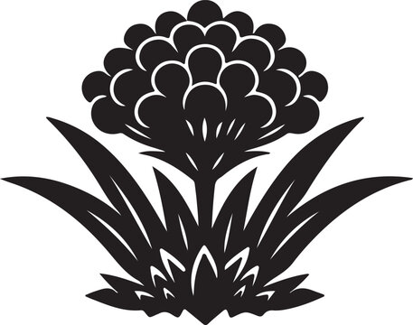 Brunia  Flower Icon &ndash; Vector Illustration