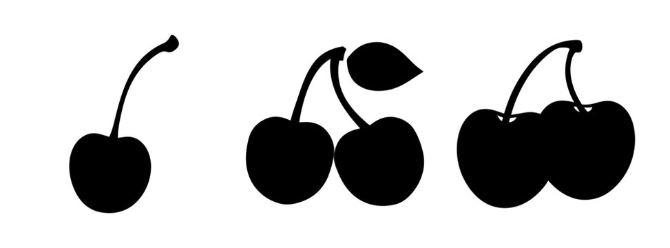 Isolated black cherry vector illustration fresh fruit cherries drawing simple design silhouette sweet food