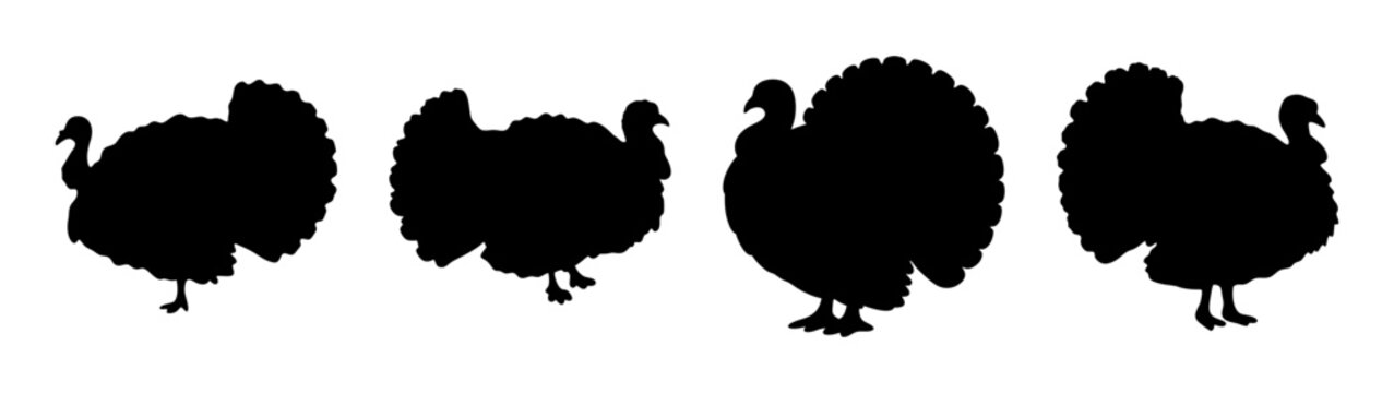 Turkey silhouette thanksgiving clip art vector illustration holiday season autumn fall design cut file template
