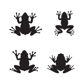 Silhouette of African clawed frog isolated on white background, vector illustration