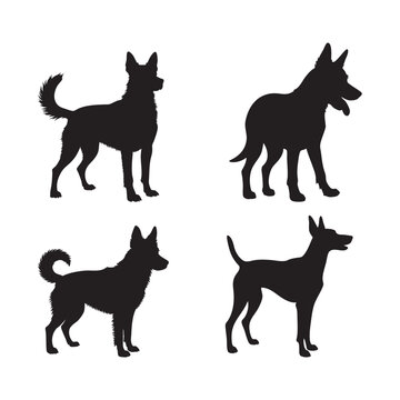 Silhouette of aidi dog isolated on white background, vector illustration. 