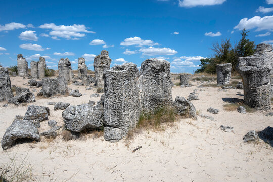 Rock formation Pobiti Kamani (Upright Stones), Bulgaria