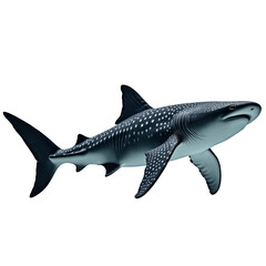 Fototapeta premium Realistic illustration of a majestic whale shark swimming gracefully in the ocean, showcasing its unique pattern and calm demeanor. on transparent background