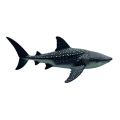 Fototapeta premium Majestic Whale Shark Swimming Gracefully in Clear Ocean Waters on transparent background